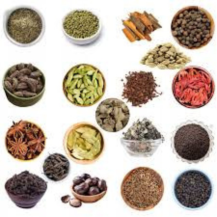 Get to Know Dhatri.store?